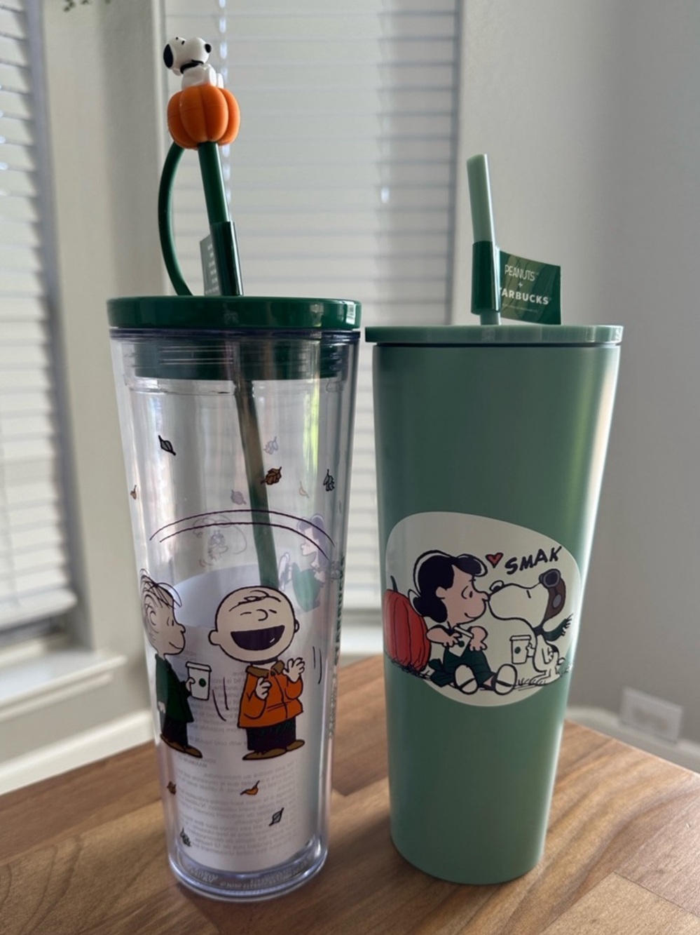 Starbucks + Peanuts Snoopy Collection Tumblers